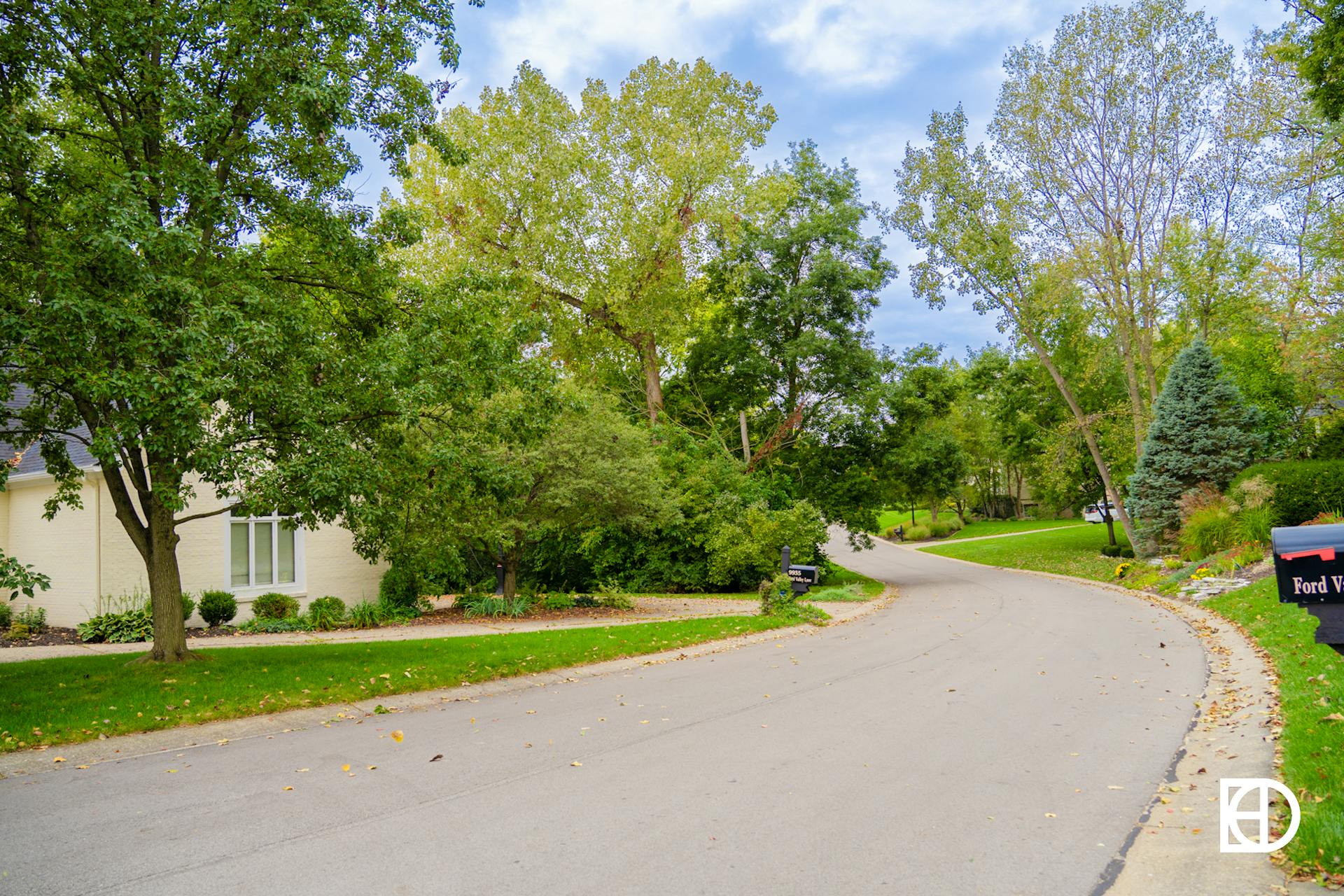 Photo of tree-lined street in Fox Hollow neighborhood in Zionsville, Indiana.
