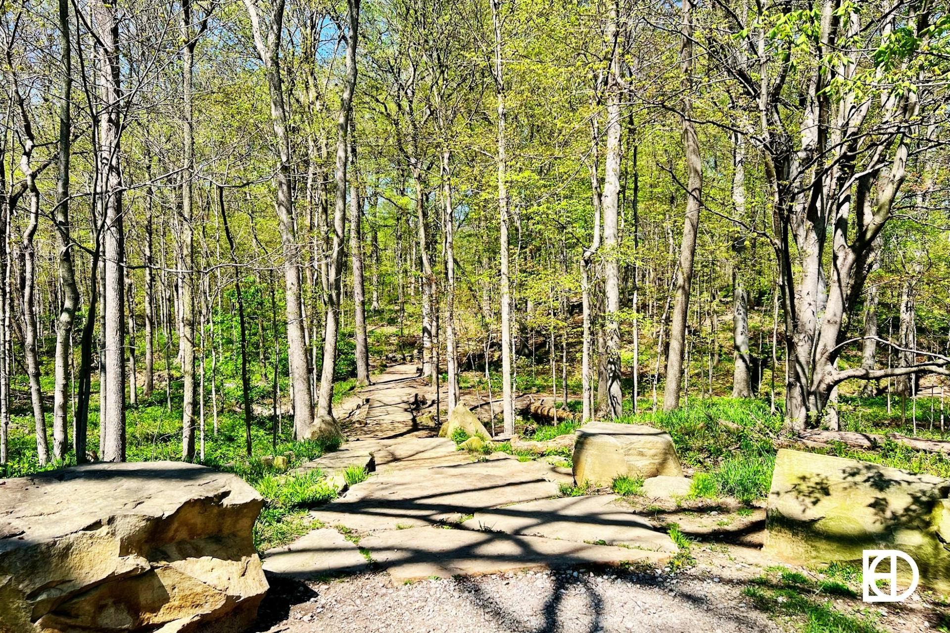 Photo of a wooded trail in Marott Woods
