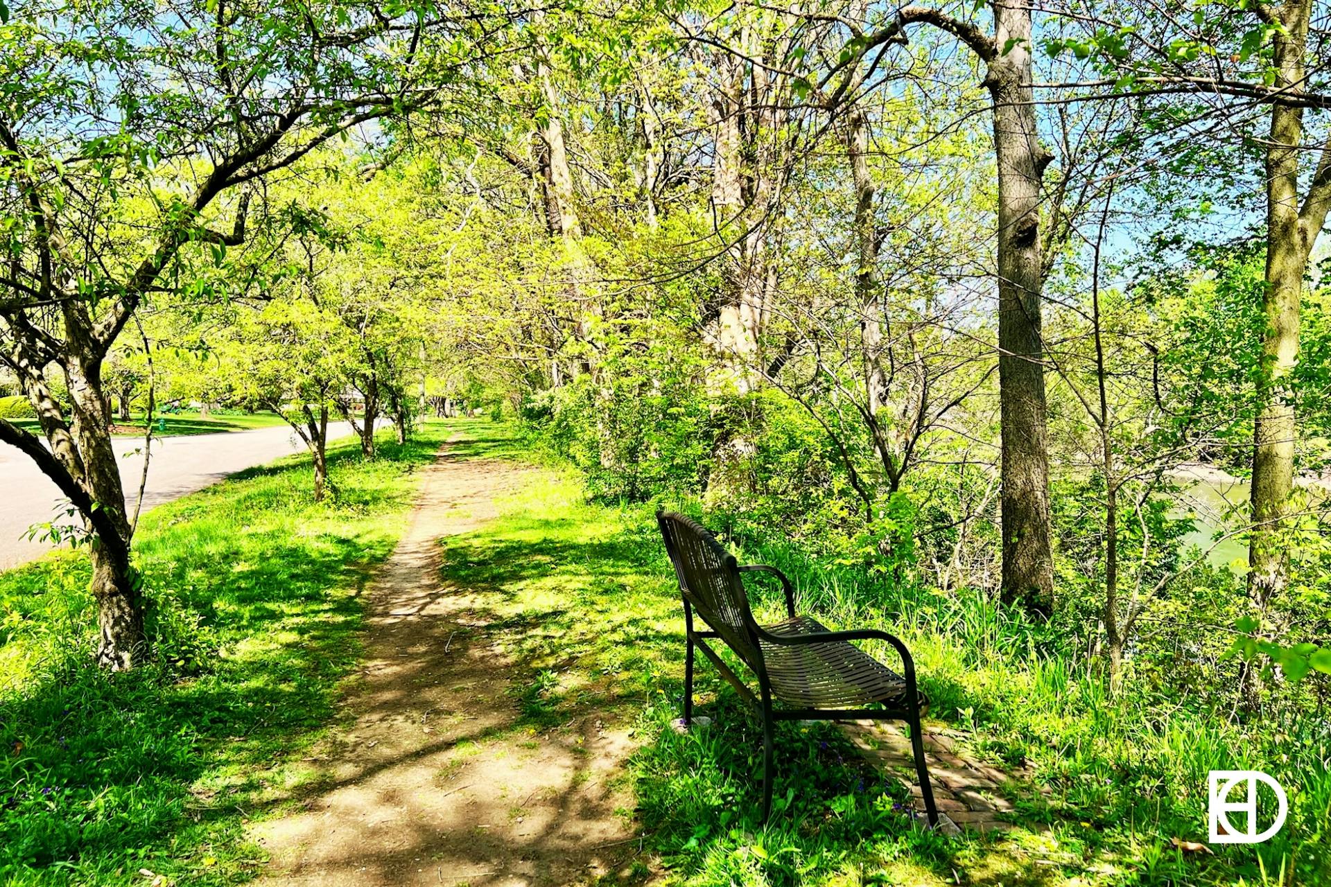 Photo of bench and trail in Arden