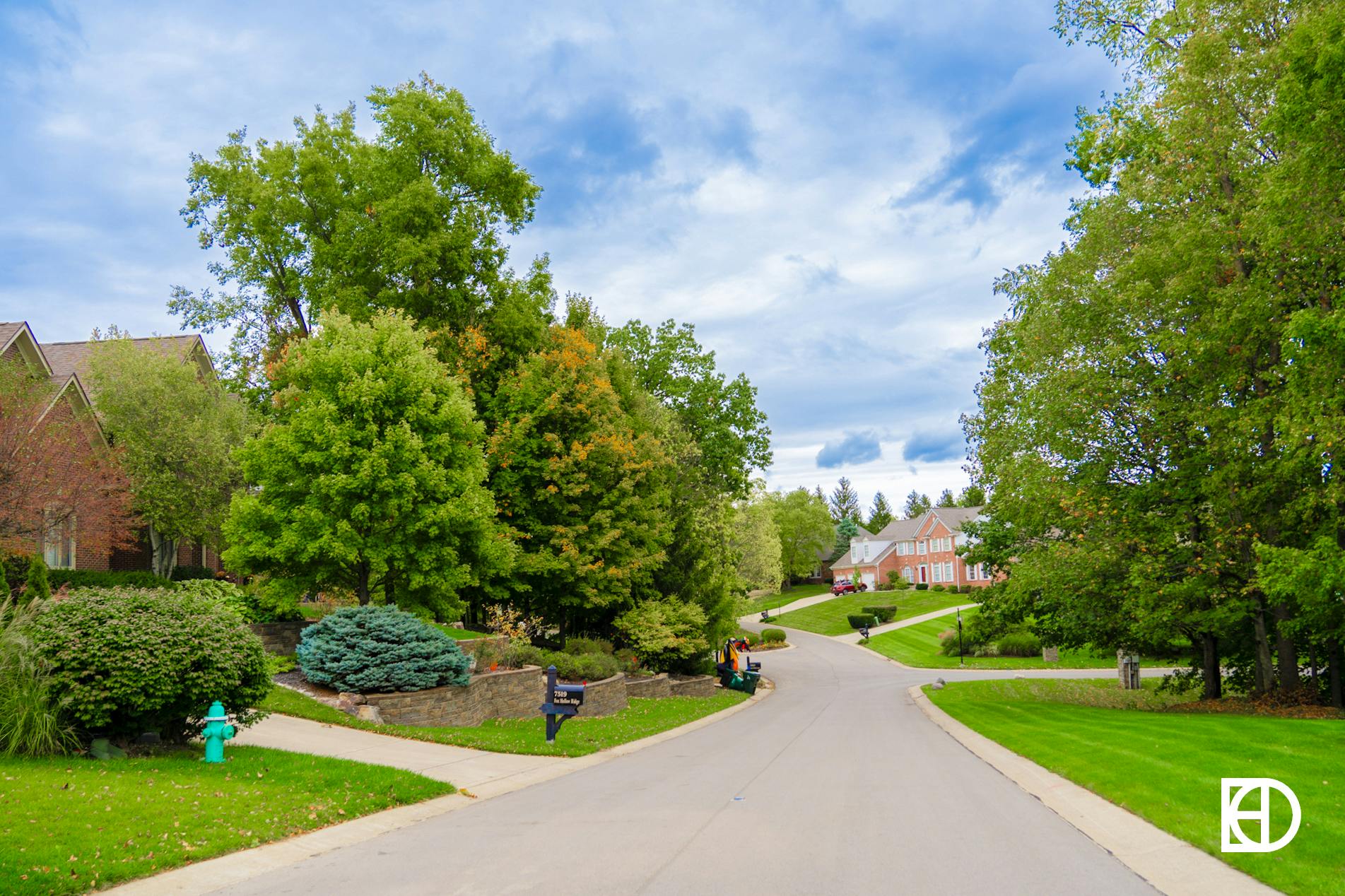 Photo of tree-lined street in Fox Hollow neighborhood in Zionsville, Indiana.