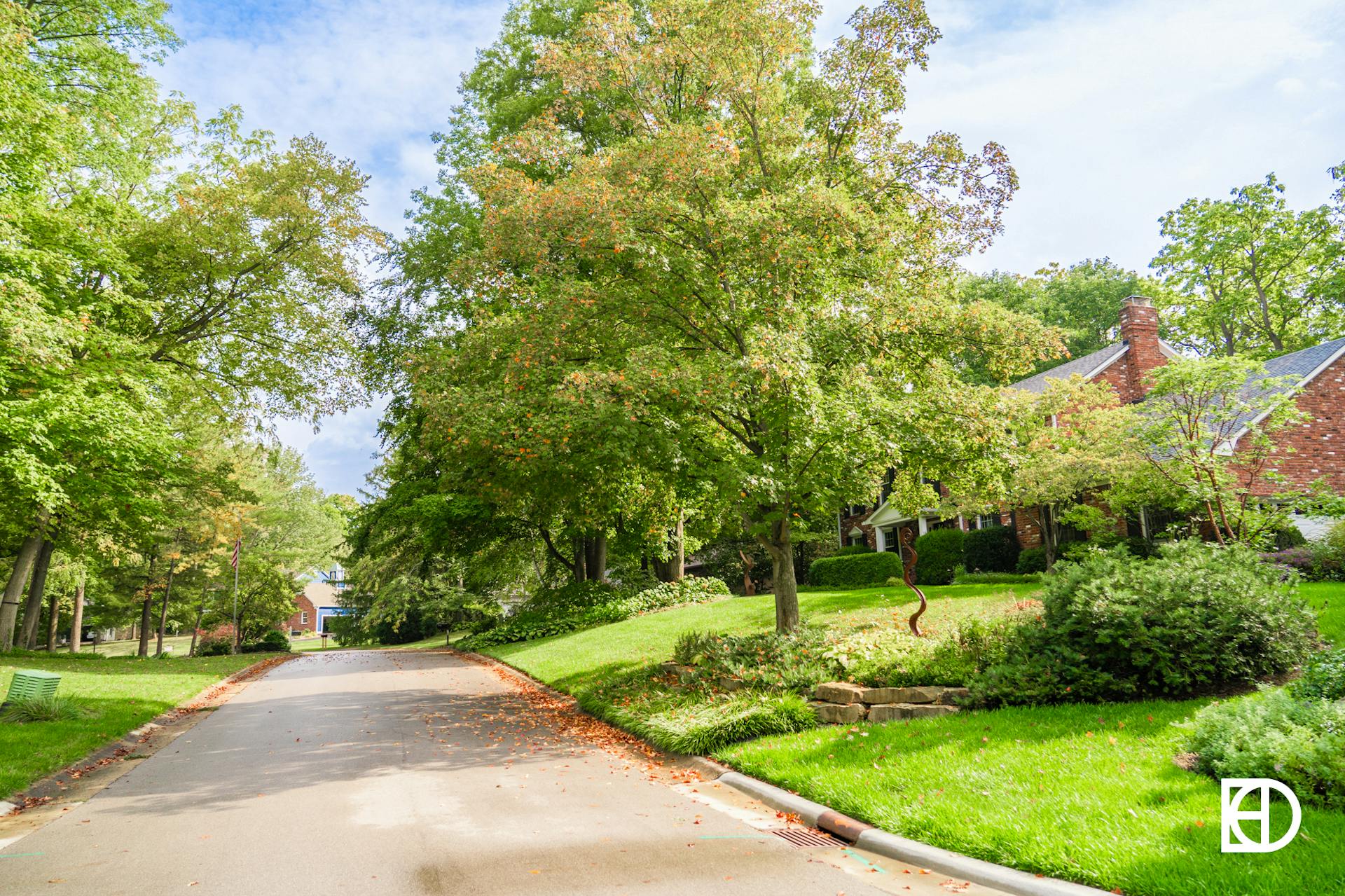 Photo of tree-lined street in Raintree Place neighborhood in Zionsville, Indiana.