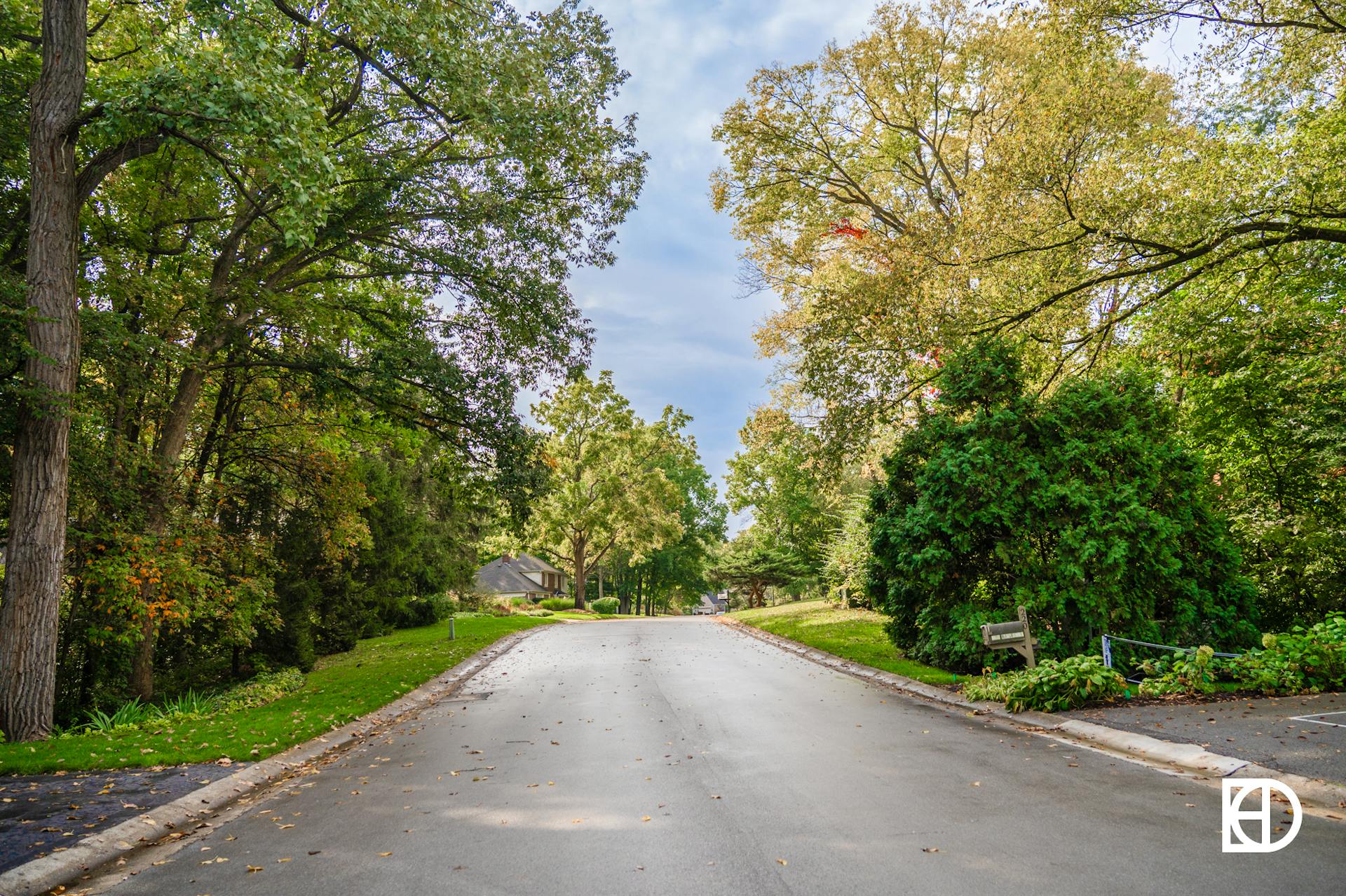 Photo of tree-lined street in Raintree Place neighborhood in Zionsville, Indiana.
