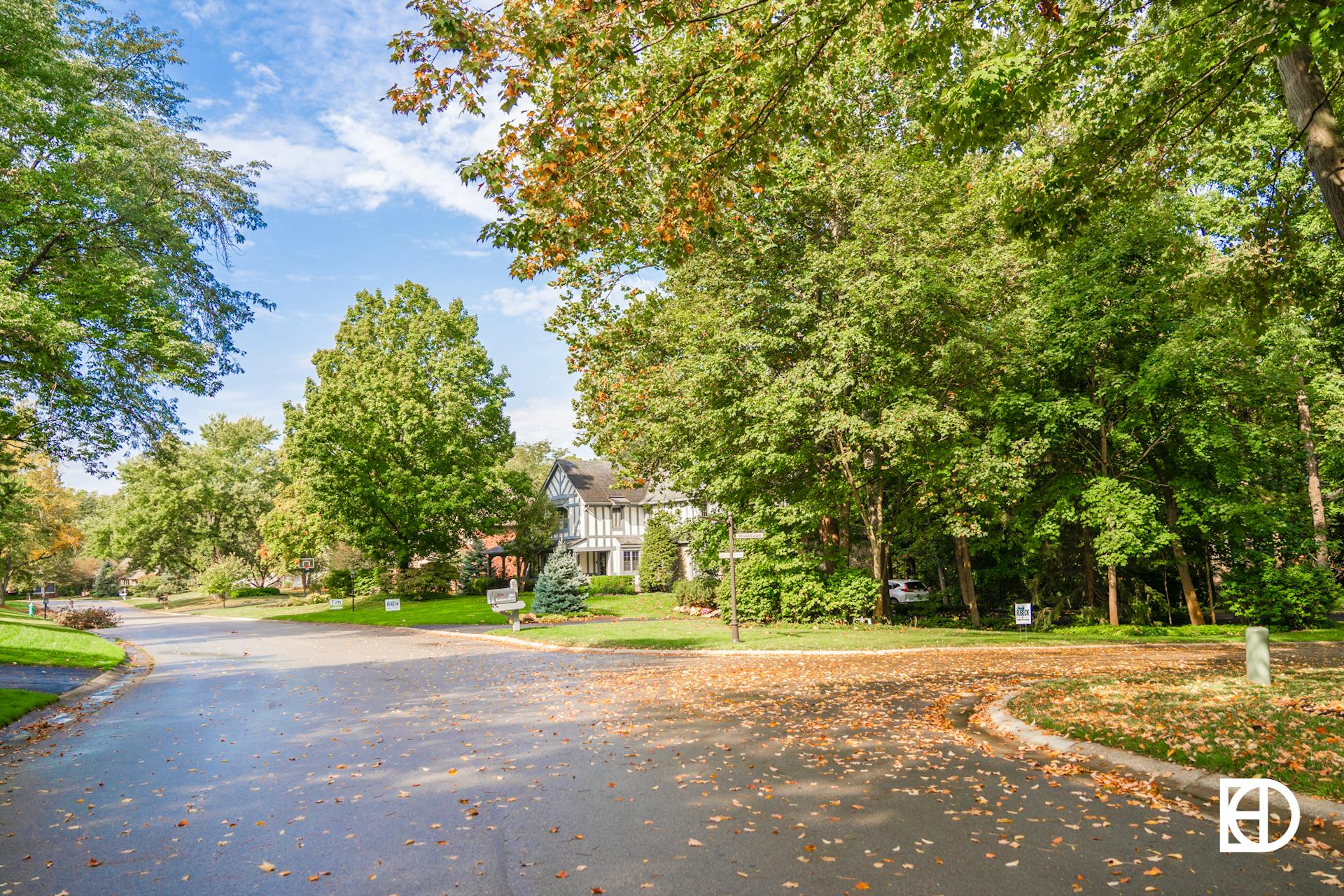 Photo of tree-lined street in Raintree Place in Zionsville, Indiana.