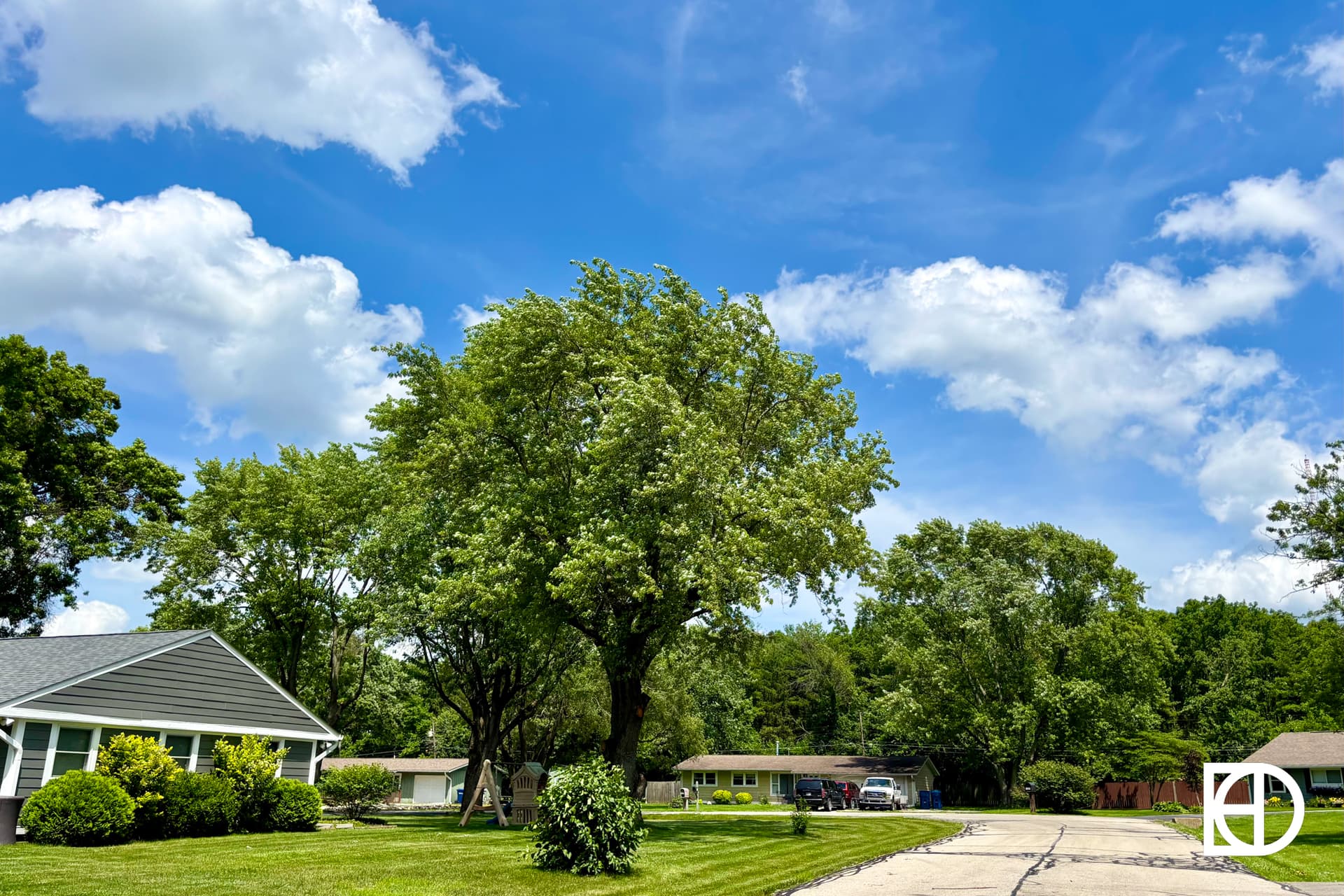 A suburban street with green lawns, a few single-story houses, and large leafy trees under a bright blue sky with scattered white clouds. The KD logo appears in the lower right corner.