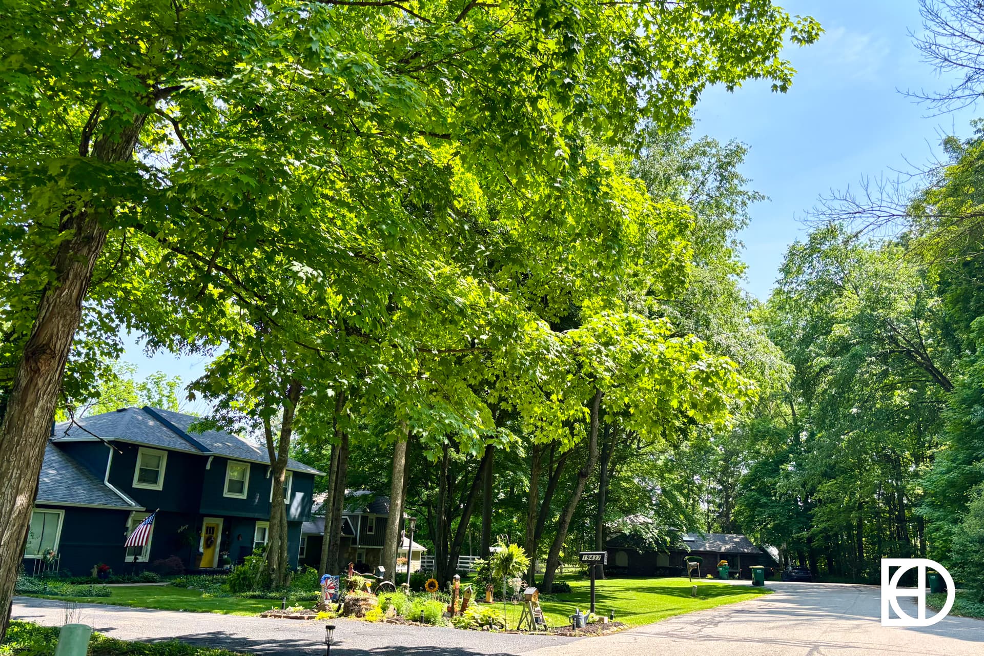 A residential street lined with large green trees and houses, with a person gardening near the curb on a sunny day.