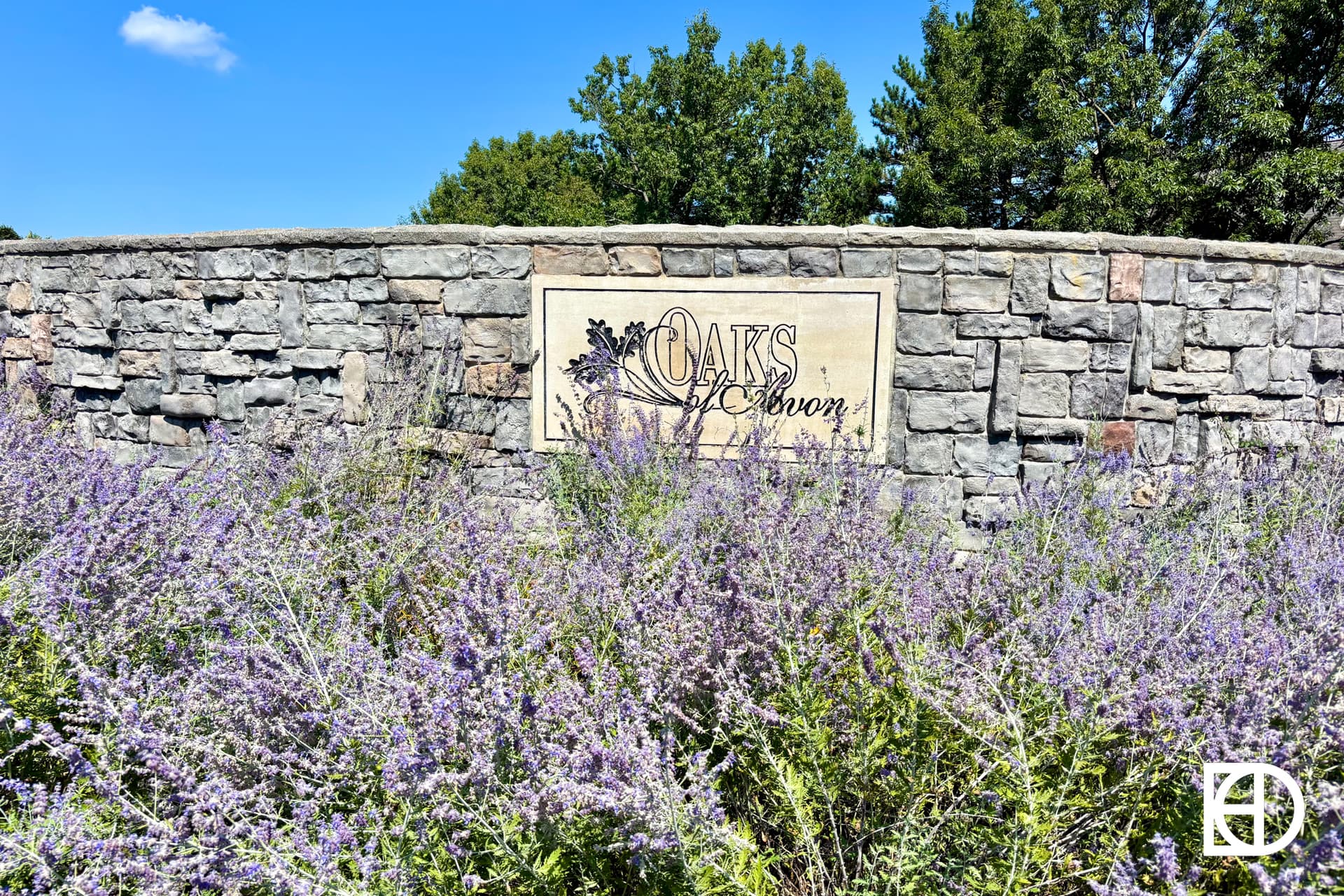 A stone wall with a sign reading Oaks at Brown is partially hidden behind tall, blooming lavender plants, with green trees and a blue sky in the background.