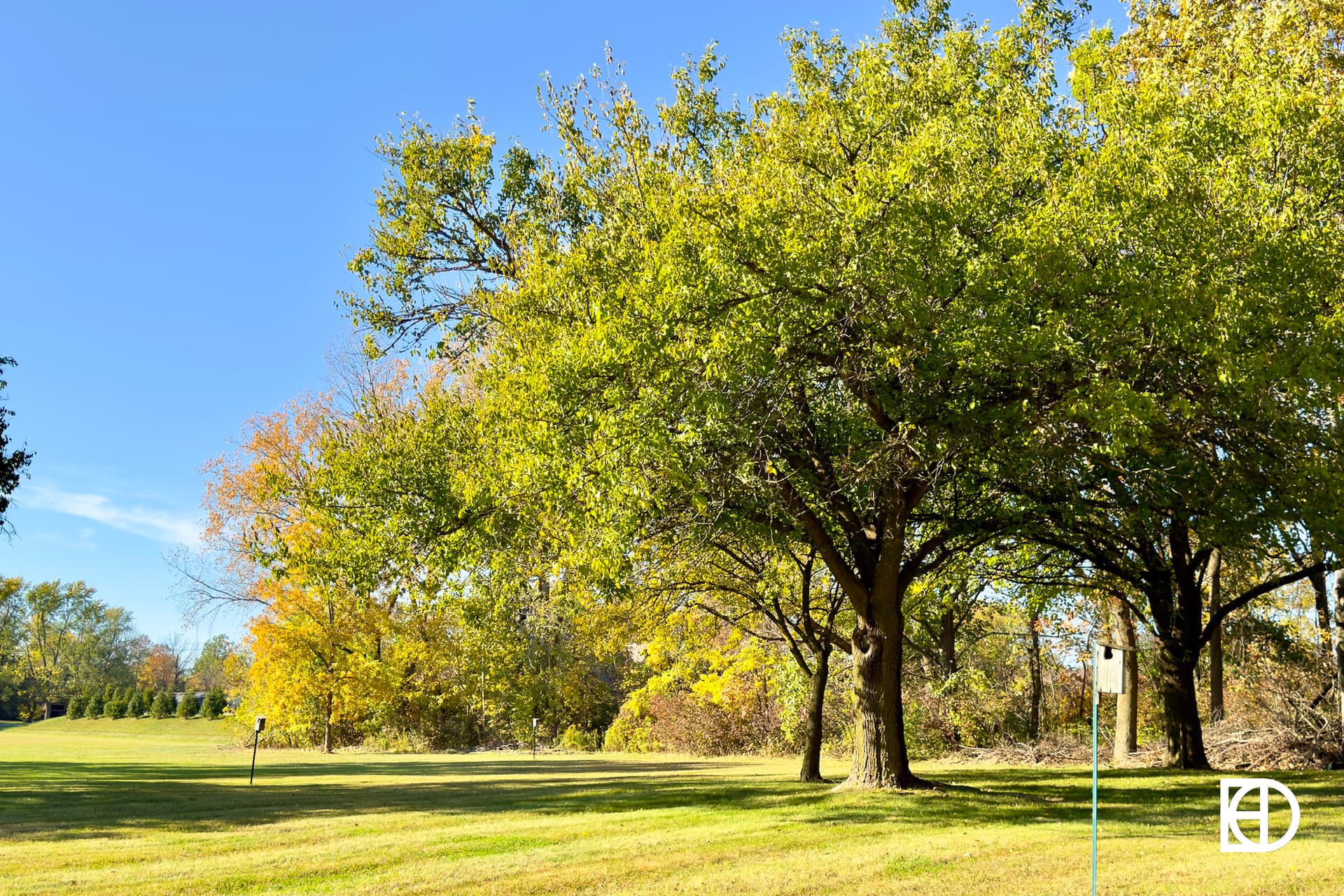 Exterior photo of Green Tree Country Club Estates, showing trees and golf course