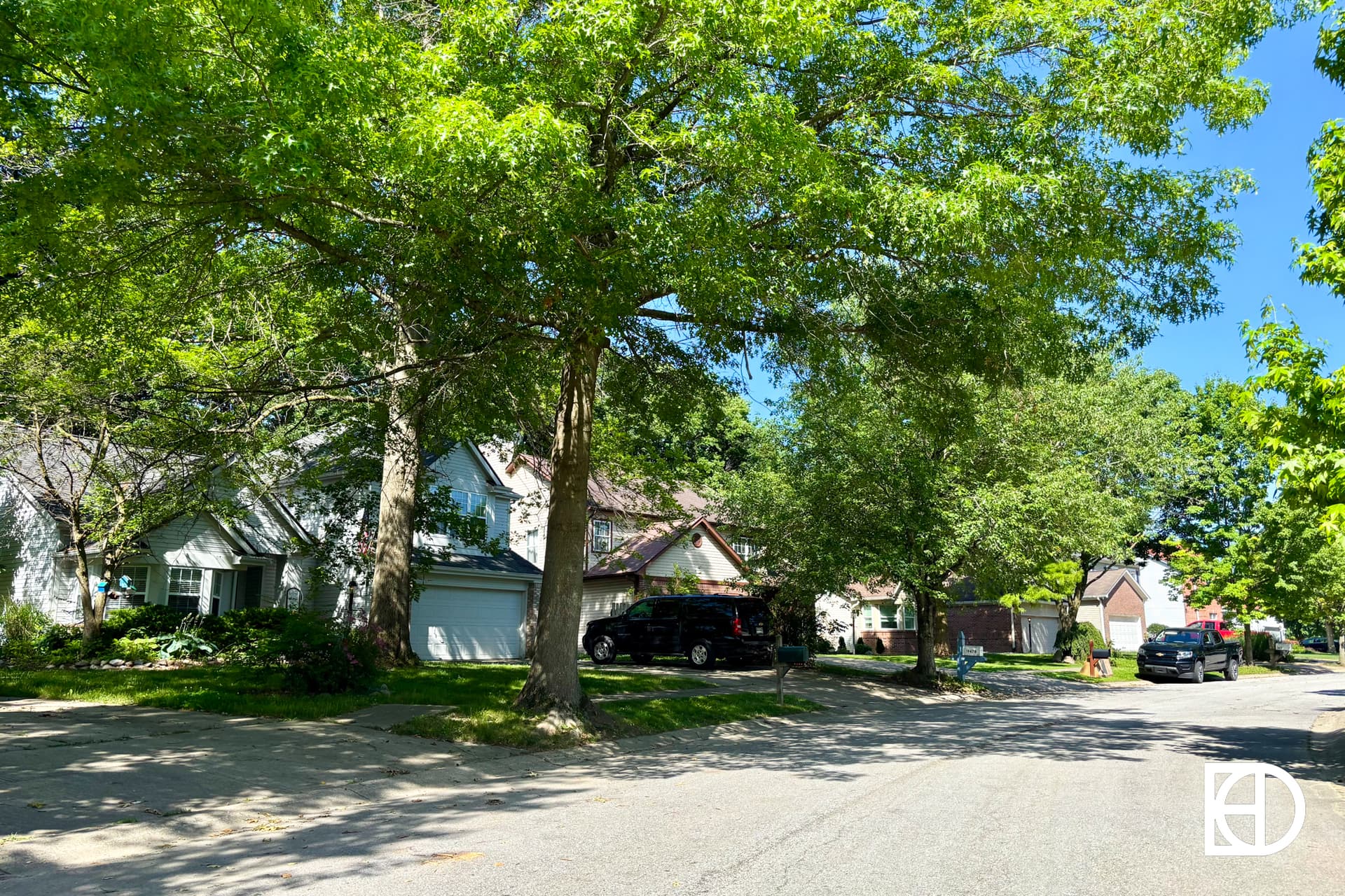 A sunny suburban street lined with green trees and houses with sloped roofs; cars are parked in driveways, and shadows from the trees fall across the road.
