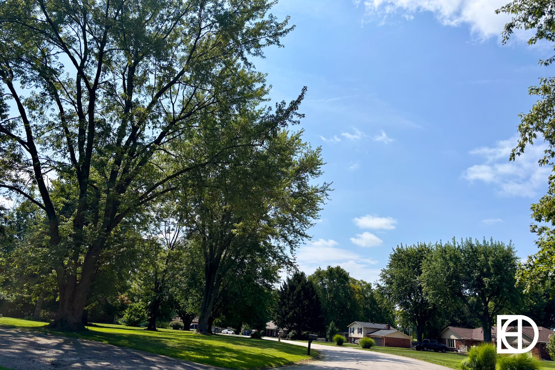 A suburban street with tall green trees, houses, and a clear blue sky with a few clouds. Shadows from the trees fall on the grassy lawn and road.