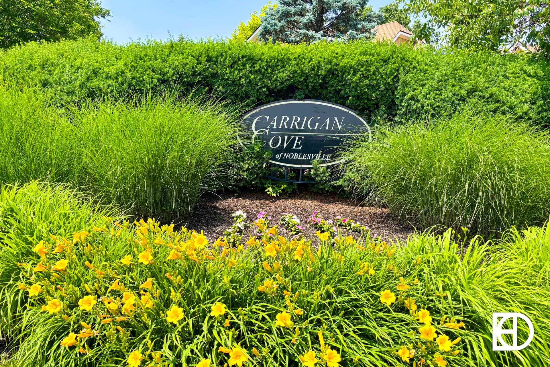 A landscaped garden with yellow flowers and green shrubs surrounds a black sign that reads Carrigan Cove of Noblesville on a sunny day.