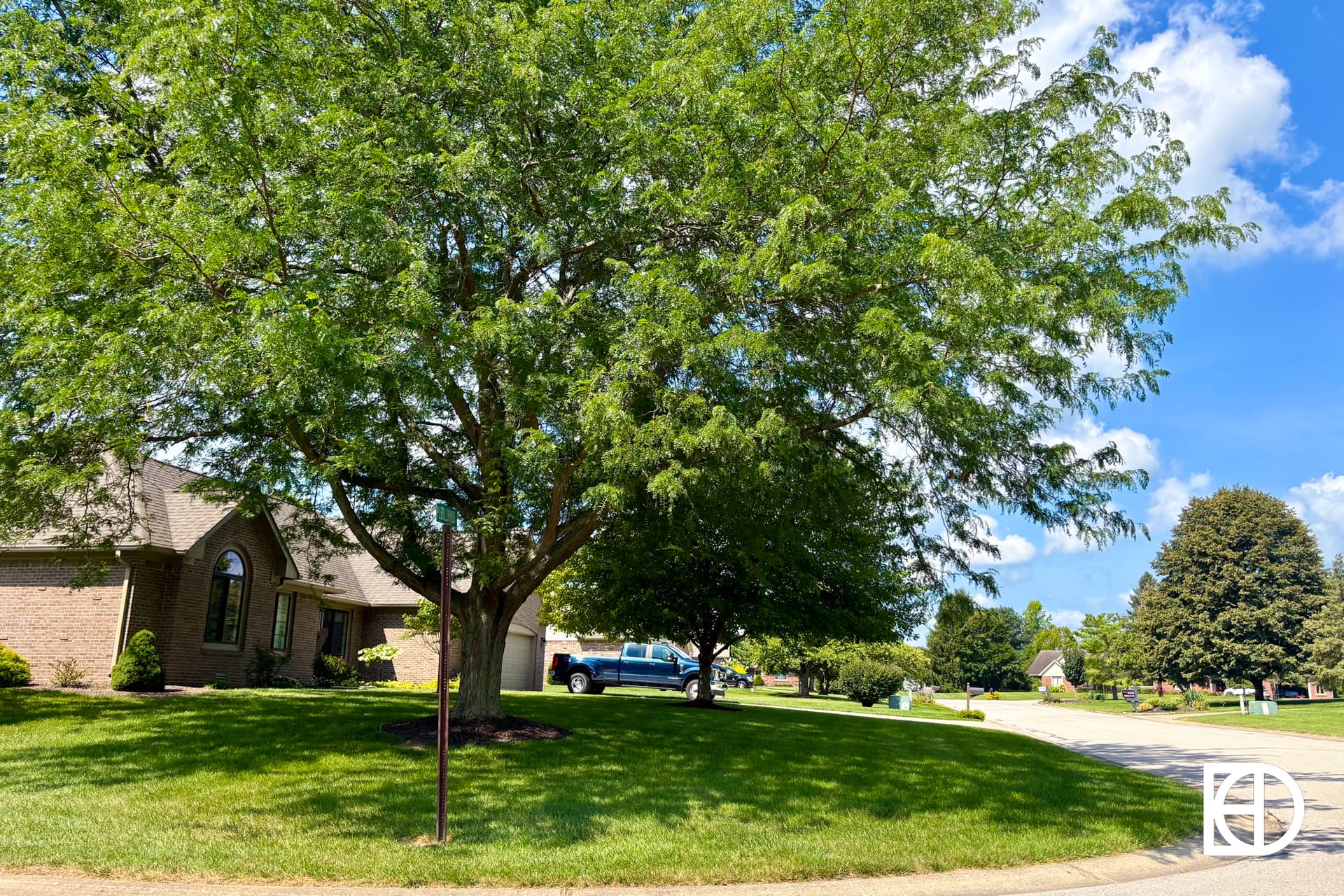 A large leafy tree provides shade on a green lawn beside a brick house and a parked blue pickup truck in a suburban neighborhood on a sunny day.