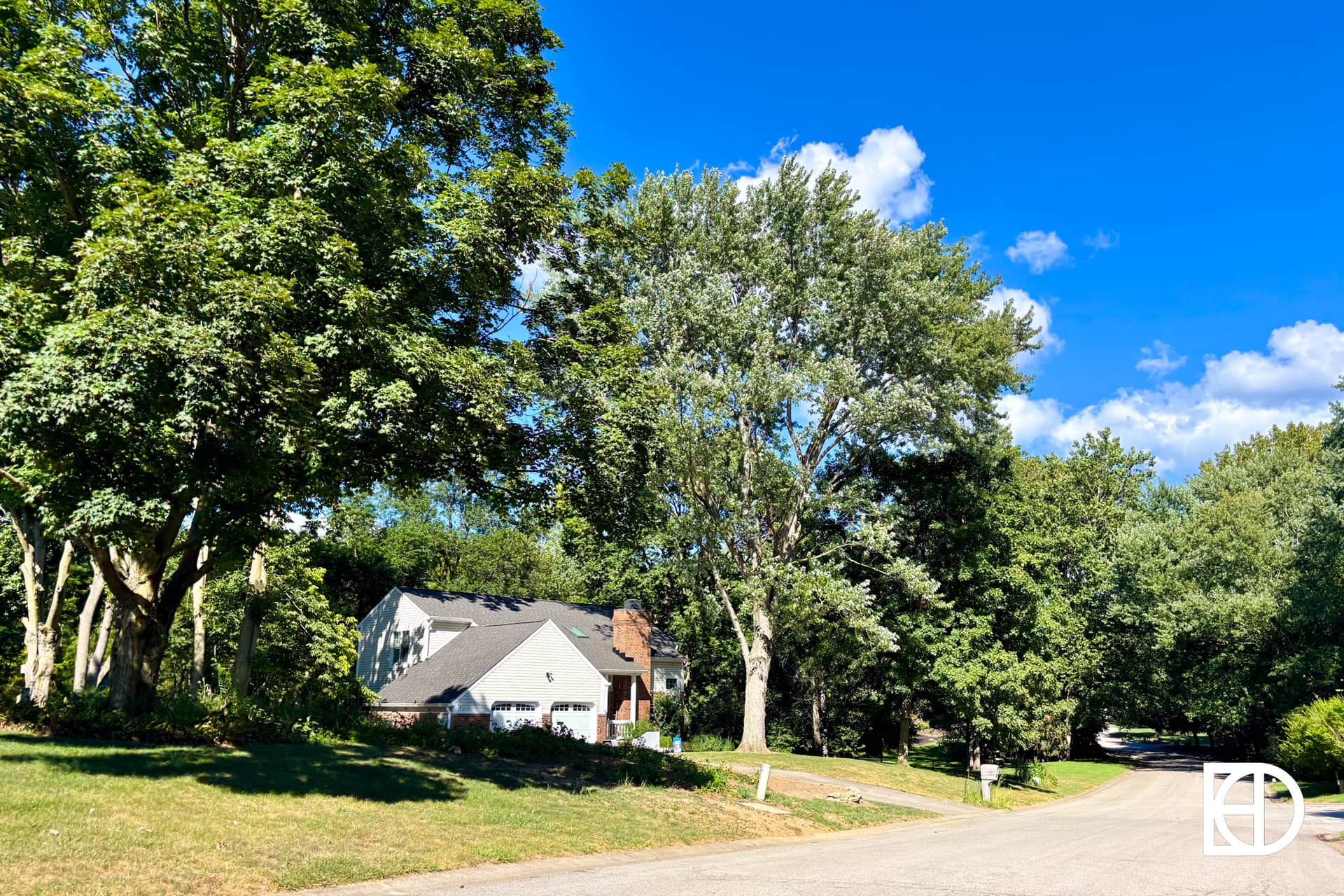 A quiet suburban street curves past a house surrounded by large green trees under a bright blue sky with scattered white clouds.