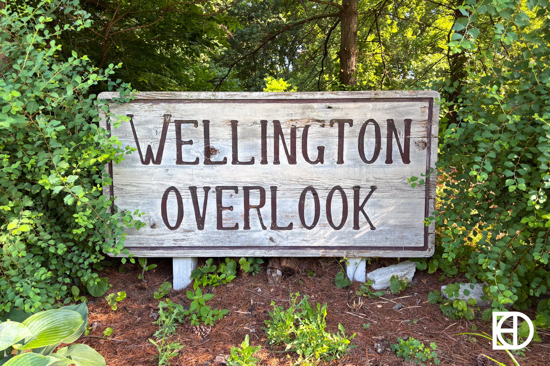 A weathered wooden sign with the words Wellington Overlook stands surrounded by lush green foliage and pine straw on the ground.