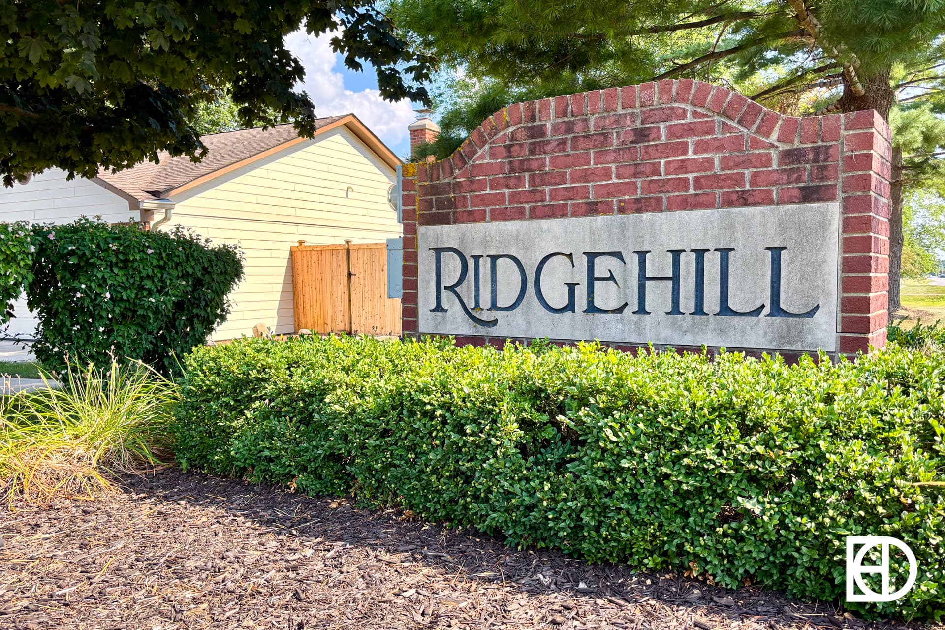 A quiet suburban street with a large leafy tree in a well-kept yard, surrounded by houses, bright green grass, and a clear blue sky above.
