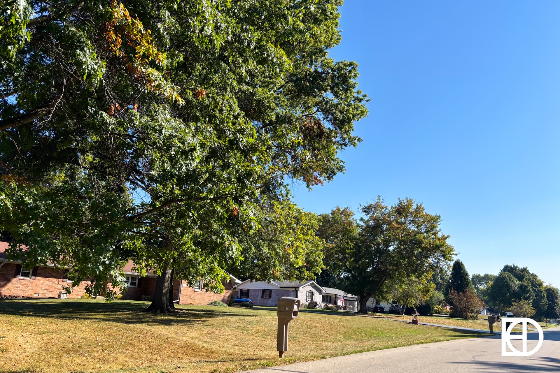 A quiet suburban street with large leafy trees, single-story brick houses, a mailbox in the foreground, and a clear blue sky.
