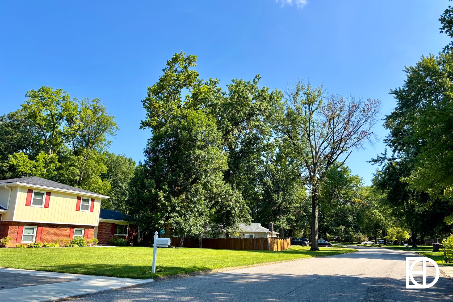 A suburban street on a sunny day, with green lawns, tall trees, and houses. A white mailbox stands at the edge of a driveway. The sky is clear and blue.