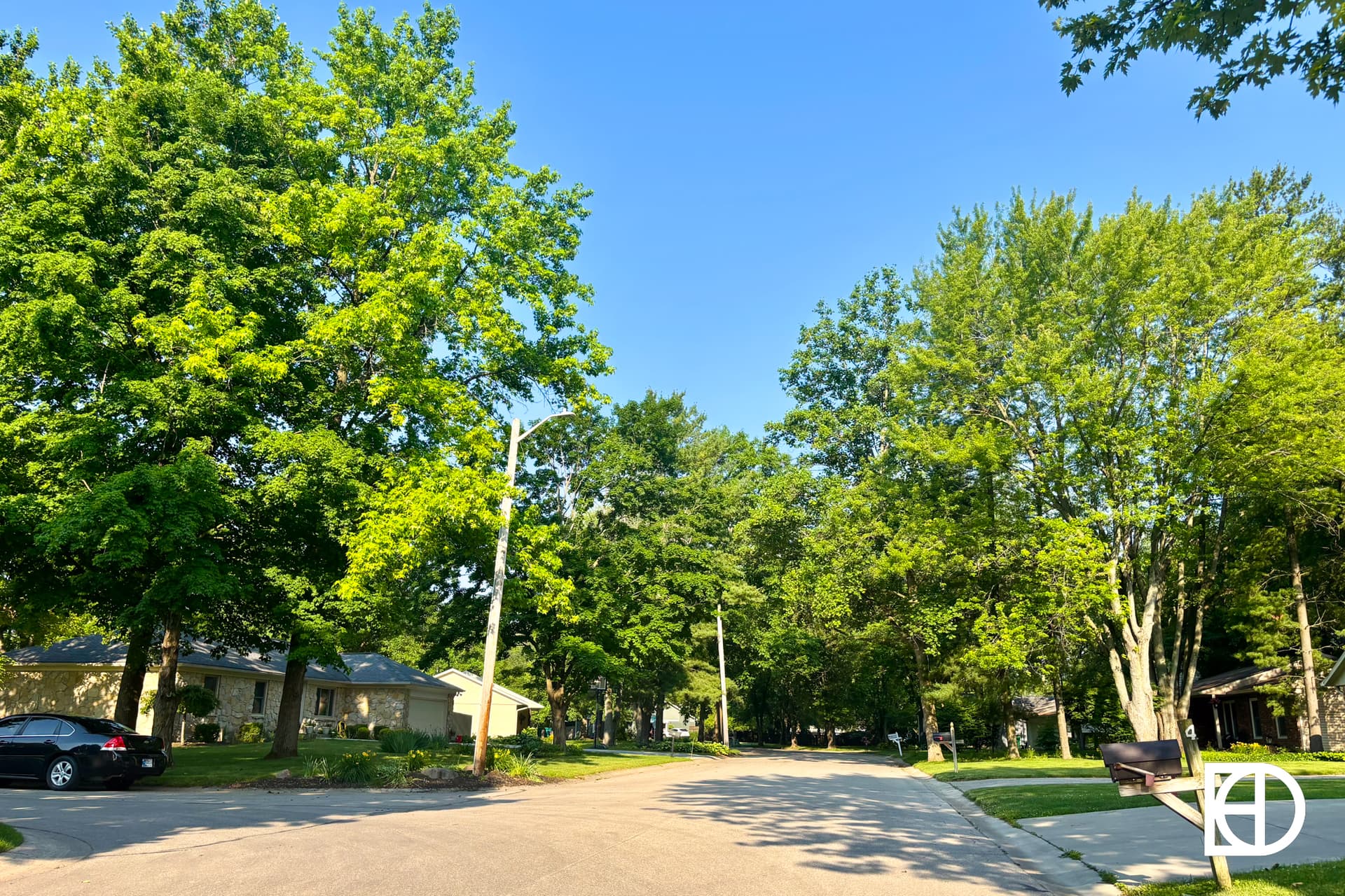 A sunny suburban street lined with green trees and houses, with parked cars and clear blue sky overhead.