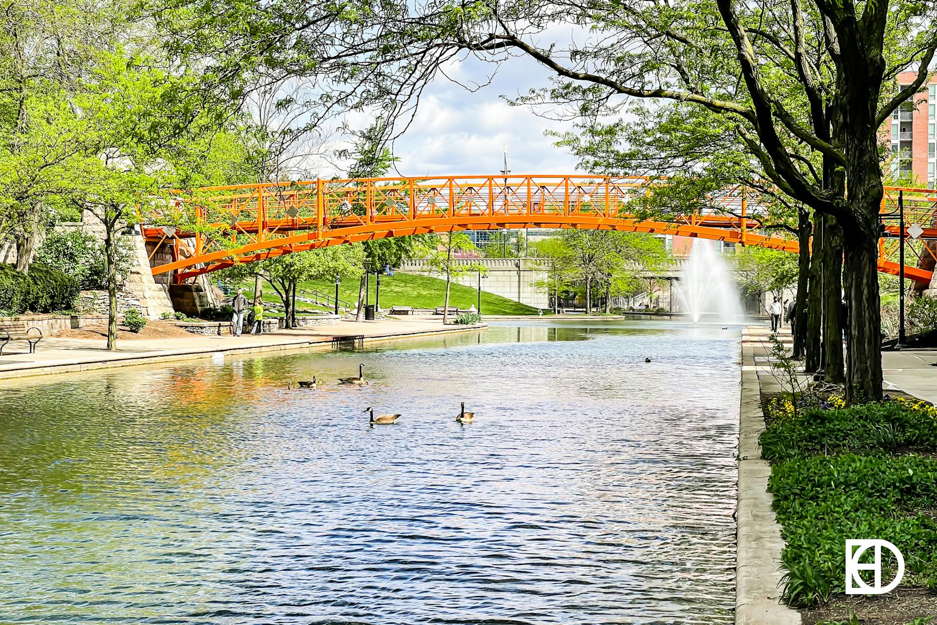 Photo of bridge over Canal Walk with geese floating in Canal.