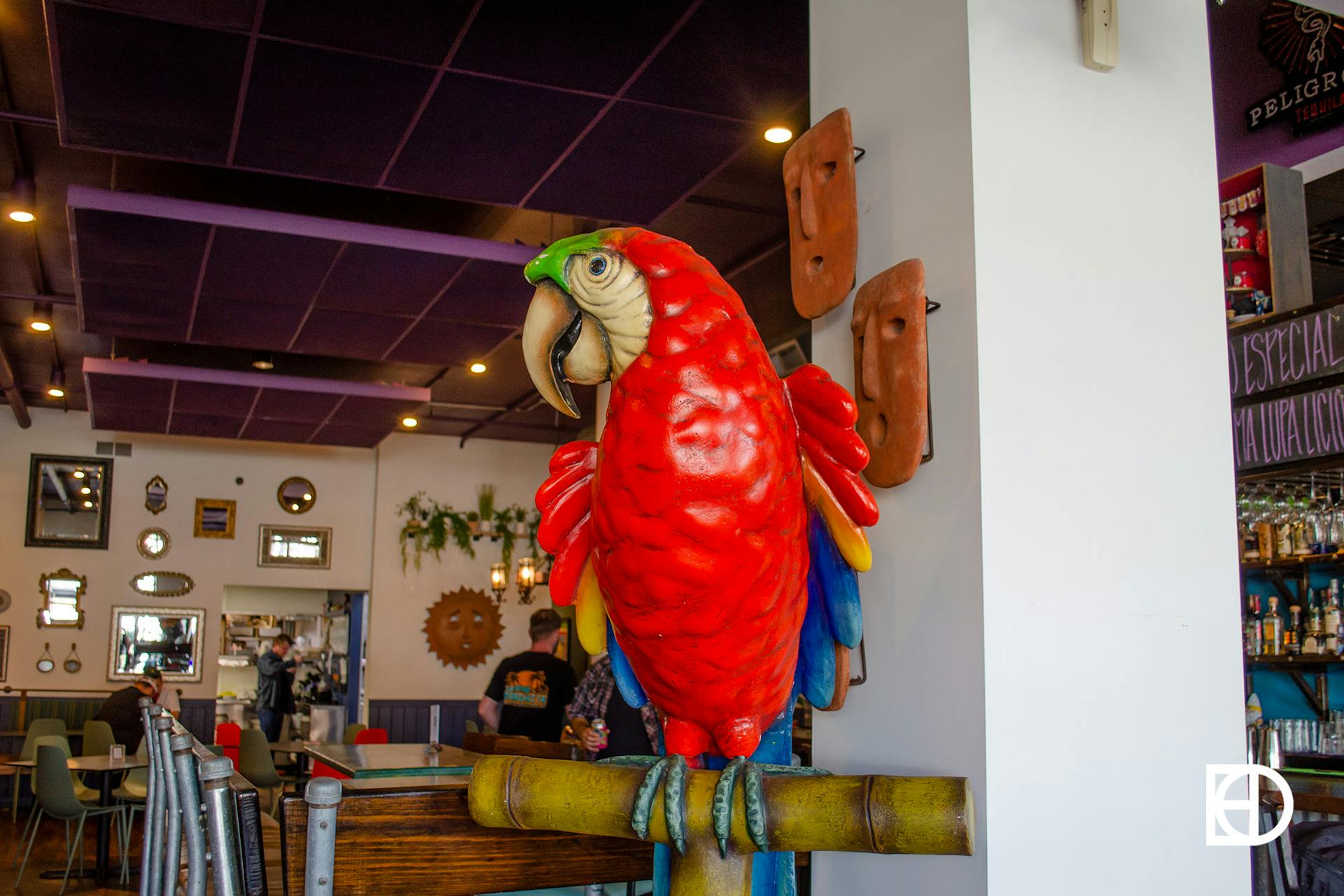 Photo of parrot statue in La Margarita