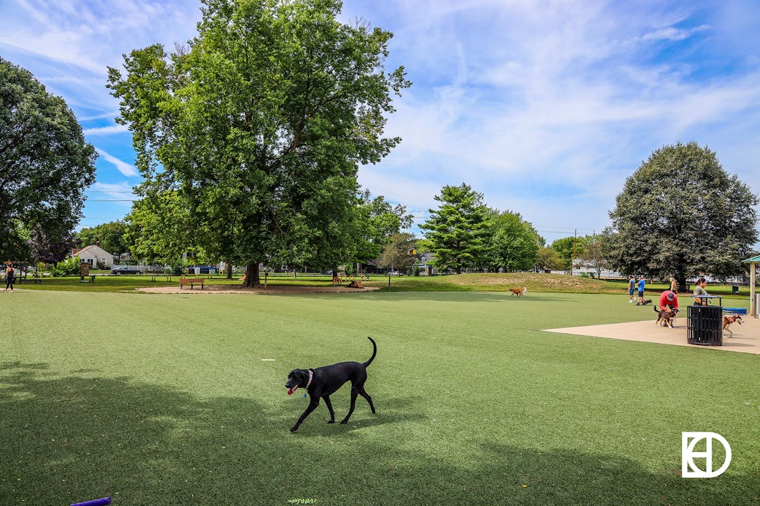 Photo of the Broad Ripple Dog Park